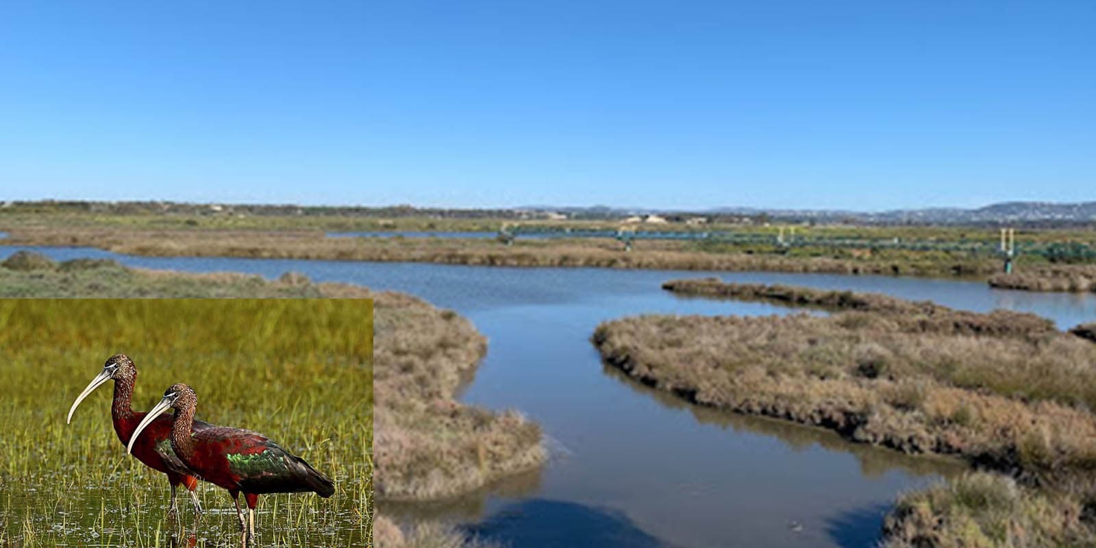 Ebro Delta.jpg